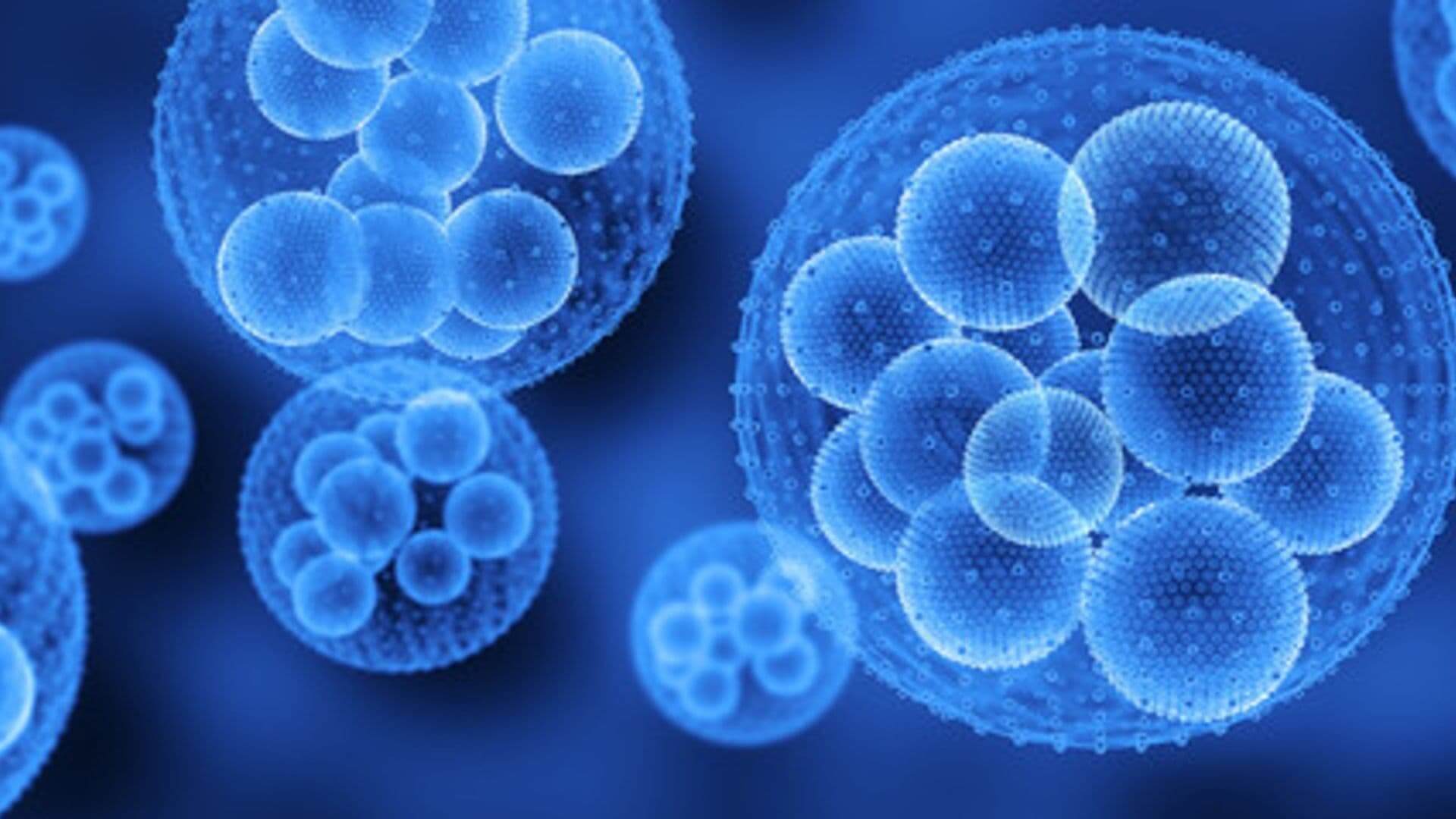 Séminaire 3 - L’être humain comme microcosme